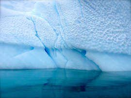 Antartica Close up