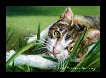 cat painting - Vanessa Montenegro